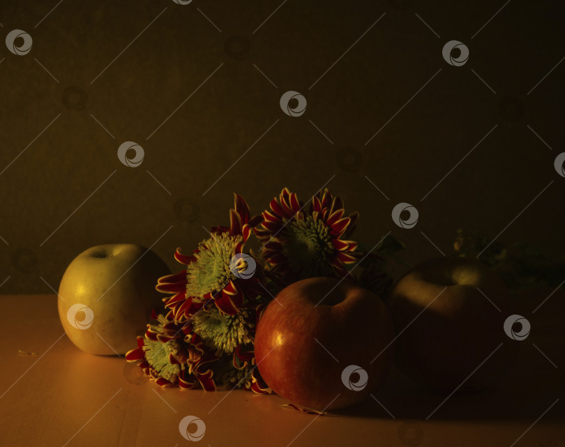 Скачать Композиция из трех яблок и цветков хризантемы. Фруктово-цветочный натюрморт. фотосток Ozero