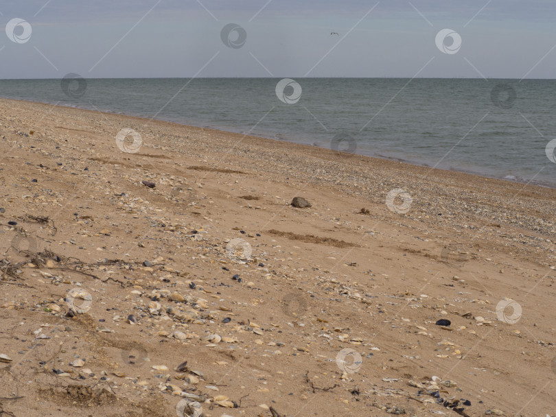 Скачать Естественный фон - желтый песок и серое море, серо-голубое небо юга. фотосток Ozero