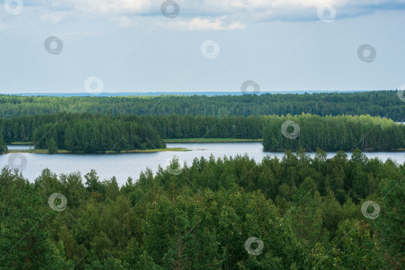 Скачать природный ландшафт с лесом и озерами, вид с высоты птичьего полета фотосток Ozero