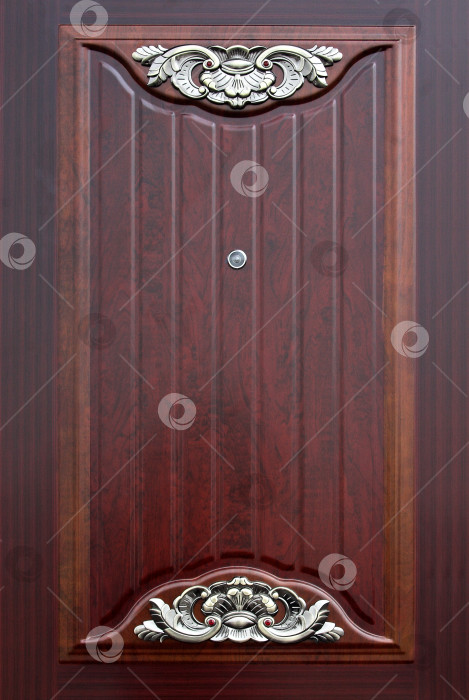 Скачать Металлическая входная дверь: декоративный элемент фотосток Ozero