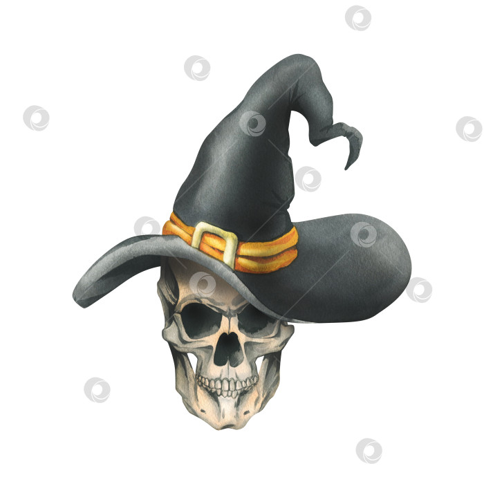 Скачать Человеческий череп в черной шляпе ведьмы с оранжевой лентой и золотой пряжкой на день смерти и праздник Хэллоуин. Акварельная иллюстрация, нарисованная от руки. Изолированная композиция на белом фоне. фотосток Ozero