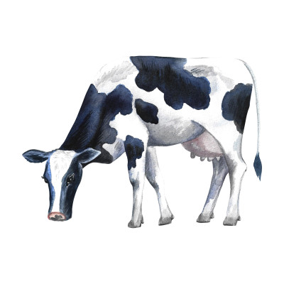 [object Object] undefined