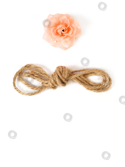 Скачать Шаблон открытки с маленькой розой с росой, выделенной на белом фоне фотосток Ozero
