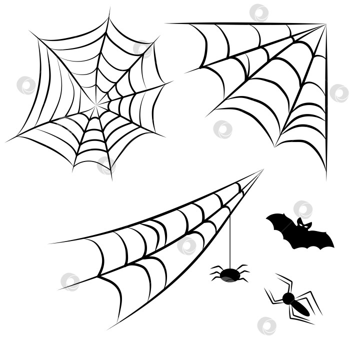 Скачать Набор паутины для оформления Хэллоуина. Паутина с пауками и летучей мышью. фотосток Ozero