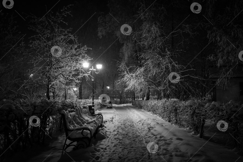 Скачать зимняя дорожка ночью в заснеженном парке среди скамеек, деревьев и фонарей фотосток Ozero