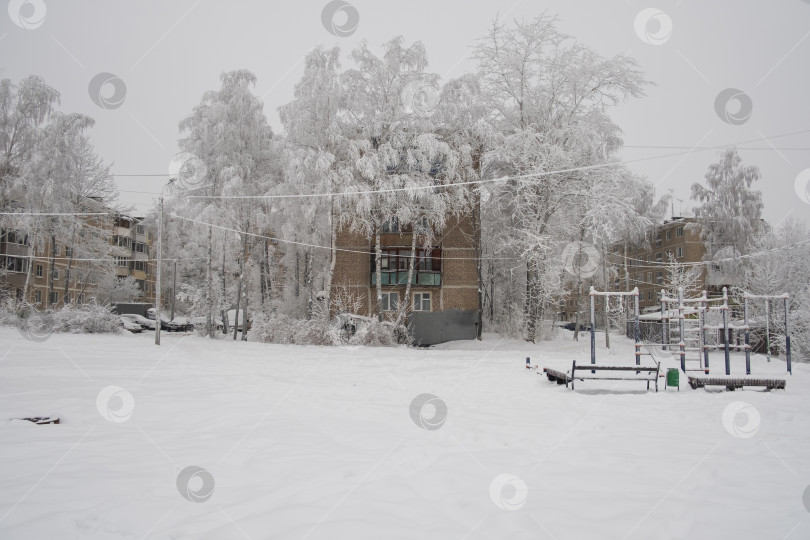 Скачать старый советский пятиэтажный дом среди заснеженных деревьев зимой фотосток Ozero