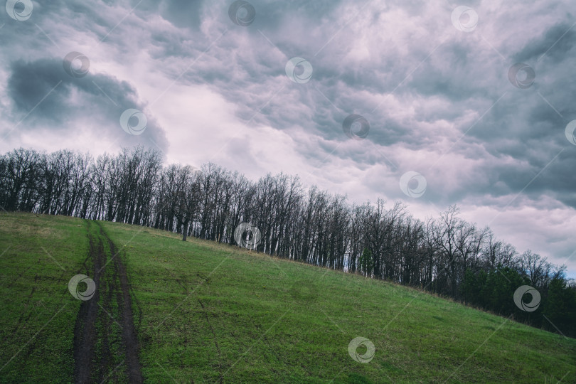 Скачать деревья без листьев на зеленом холме с колеей и облачным небом фотосток Ozero