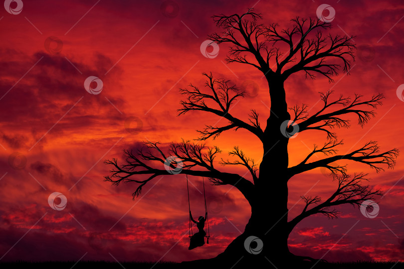 Скачать красный закат и силуэт старого большого дерева с женщиной на качелях фотосток Ozero