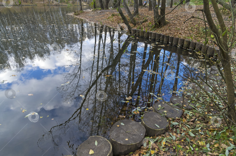 Скачать Отражение деревьев в воде. фотосток Ozero