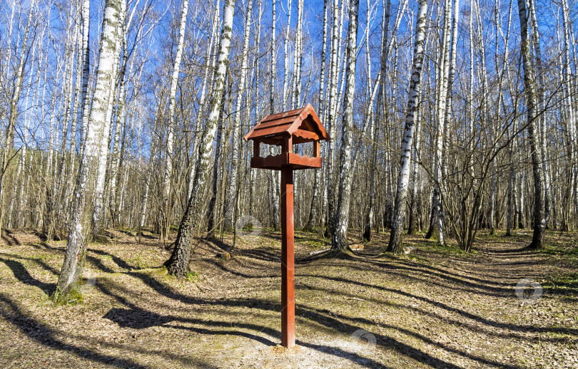 Скачать Деревянная кормушка для птиц в березовом лесу. фотосток Ozero