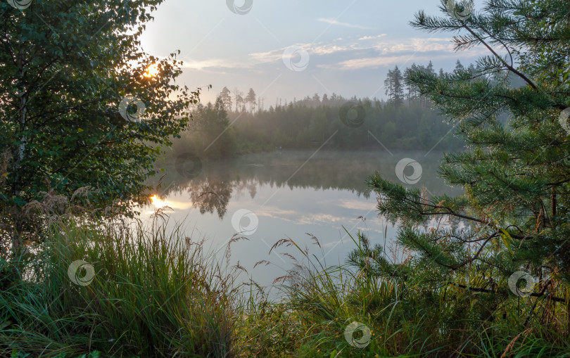 Скачать Лесное озеро фотосток Ozero