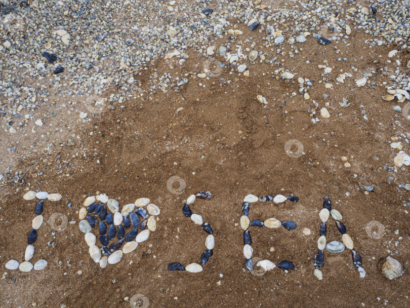 Скачать Надпись "Я люблю море" выложена ракушками на песчано-ракушечном пляже фотосток Ozero