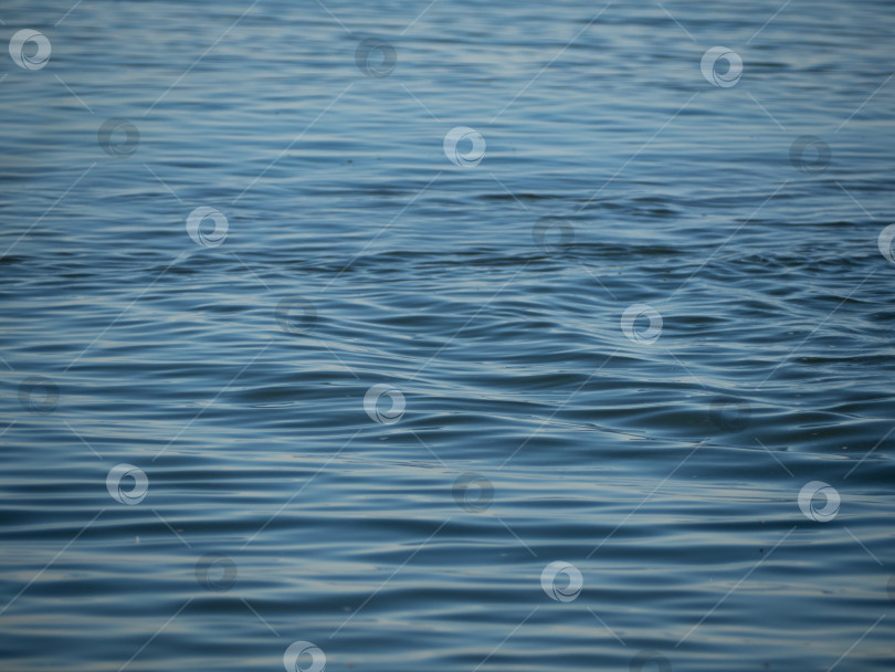 Скачать Поверхность морской воды с небольшими волнами, похожая на атласное покрывало. фотосток Ozero