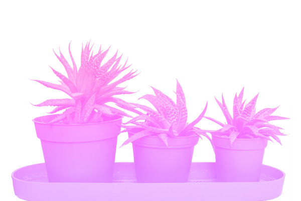 [object Object] undefined