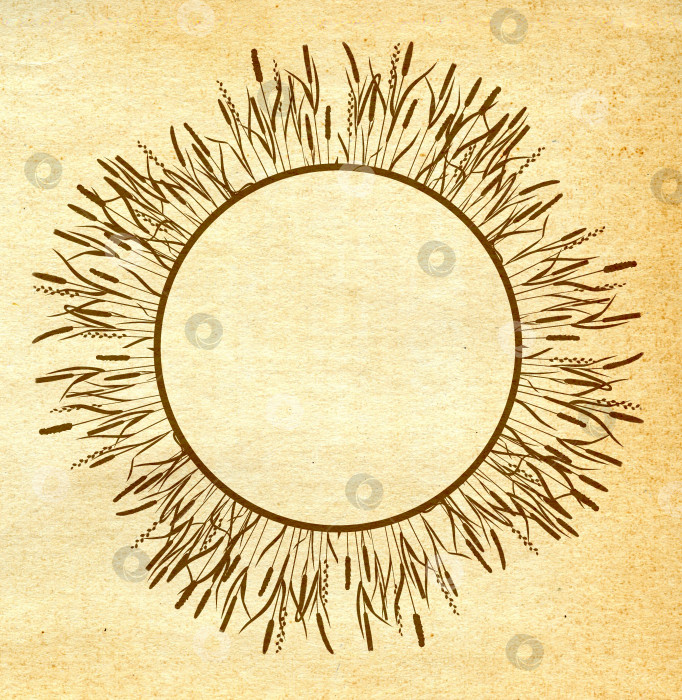 Скачать Круглая рамка из злаковых трав на крафтовой бумаге фотосток Ozero