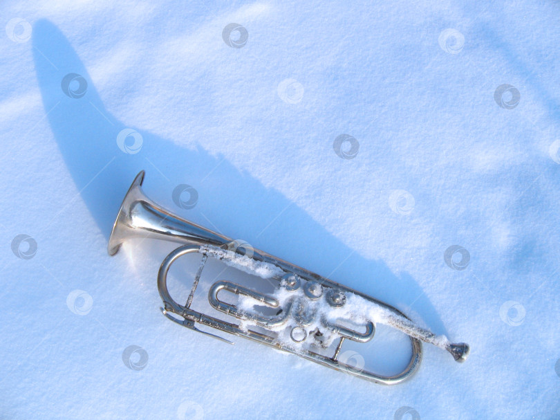Скачать Музыкальный инструмент труба серебро на белом снегу фотосток Ozero