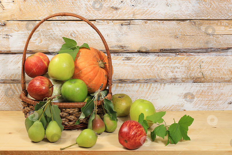 Скачать Осенний фон с яблоками, грушами, тыквами, дынями и сливами в корзинах на деревянном столе, концепция Дня благодарения, деревенский урожай, концепция здоровой натуральной пищи, рекламный баннер, кафе, ресторан, селективный фокус фотосток Ozero