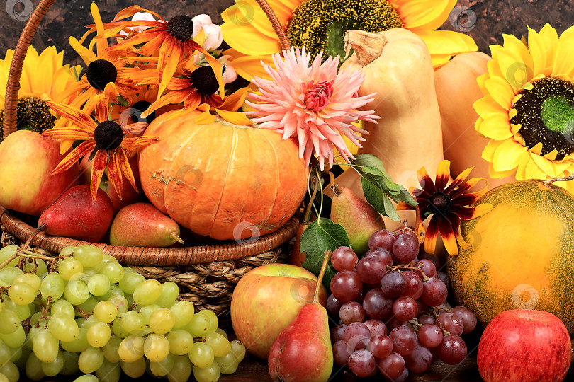 Скачать Осенний фон с яблоками, грушами, тыквами, виноградом, дынями, цветами подсолнуха, сливами в корзинах на деревянном столе, концепция Дня благодарения, деревенский урожай, концепция здоровой натуральной пищи, баннер на экране, кафе, ресторан, селективный фокус фотосток Ozero