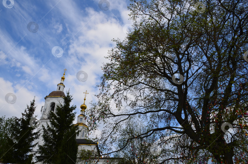 Скачать Церковь Вознесения Господня (Свято-Вознесенский храм)в городе Владимир фотосток Ozero