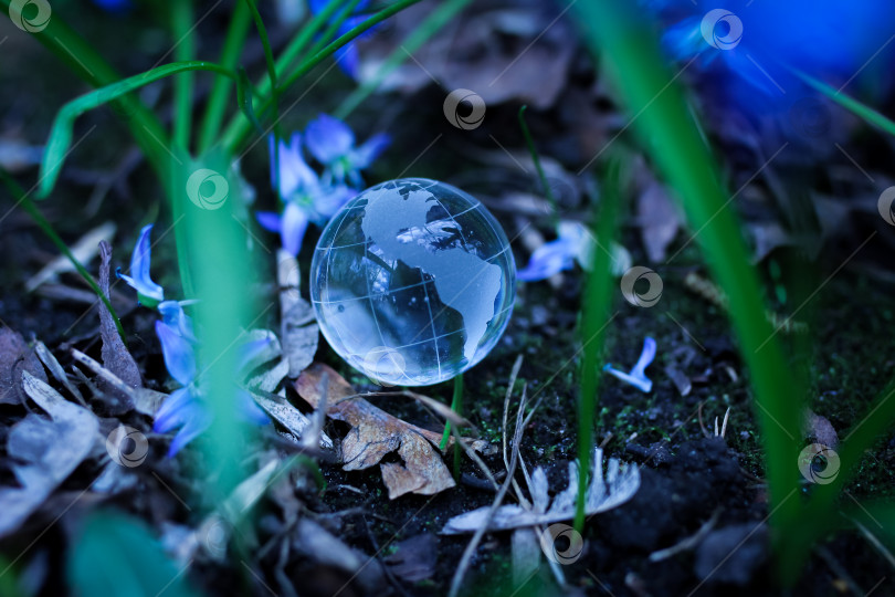Скачать Прозрачный стеклянный шар на земле, окруженный травой и цветами фотосток Ozero