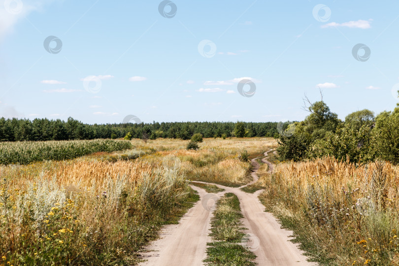 Скачать Дорога среди полей фотосток Ozero