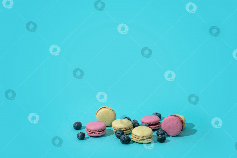 Скачать Разноцветное французское миндальное печенье с черникой на синем фоне фотосток Ozero