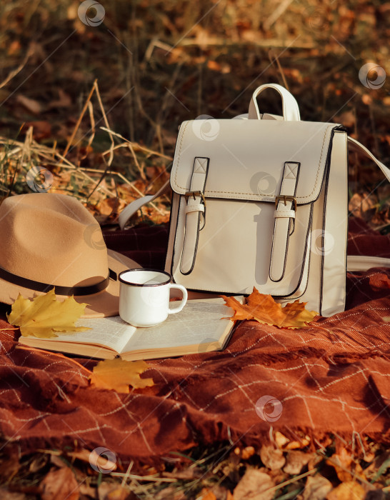 Скачать светлый рюкзак стоит на бордовом пледе окруженный книгой, шляпой и кружкой на фоне осенней листвы фотосток Ozero