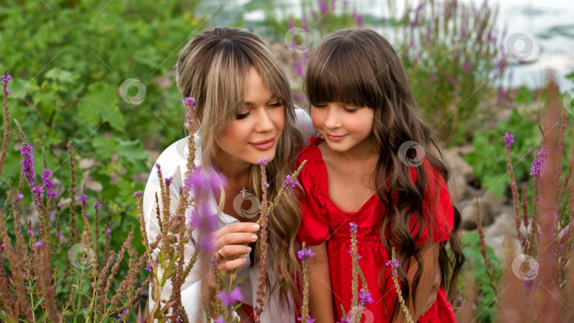 Скачать Мама и маленькая дочка прогуливаются среди луговых цветов фотосток Ozero