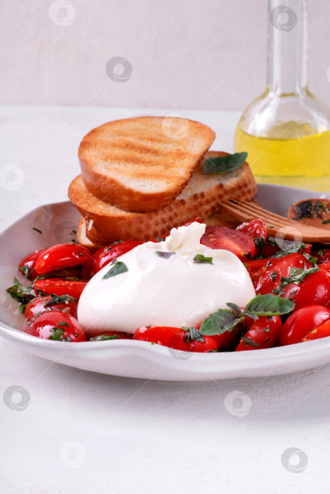 Скачать Сыр буррата с помидорами черри в салатной заправке с базиликом, чесноком и оливковым маслом подается на тарелке с поджаренным хлебом. фотосток Ozero
