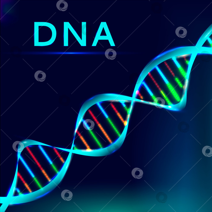 Скачать Структура ДНК. фотосток Ozero