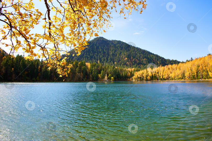 Скачать Прекрасный осенний пейзаж. Озеро и хвойный и смешанный лес фотосток Ozero