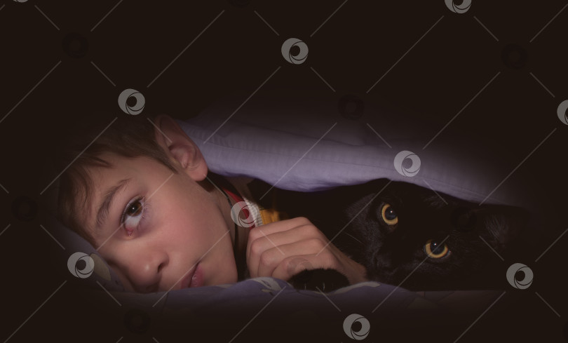 Скачать Маленький мальчик спит с кошкой в постели фотосток Ozero