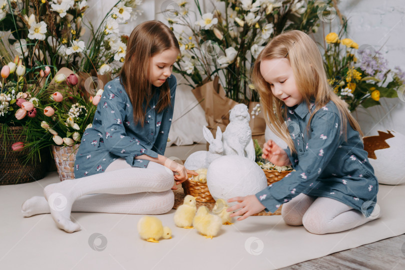 Скачать Две девушки в красивой пасхальной фотозоне с цветами, яйцами, цыплятами и пасхальными кроликами. Счастливого праздника Пасхи. фотосток Ozero
