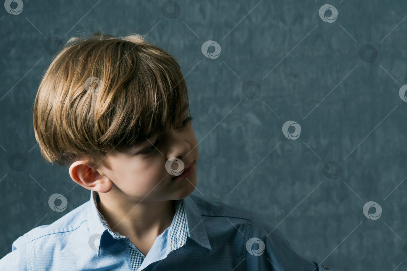 Скачать Маленький мальчик с карими глазами в рубашке позирует перед камерой.Портрет фотосток Ozero