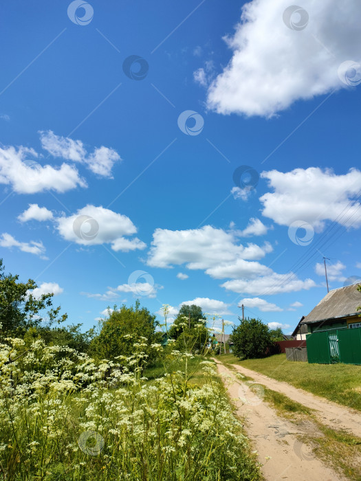 Скачать солнечный день в маленькой деревне в Беларуси фотосток Ozero