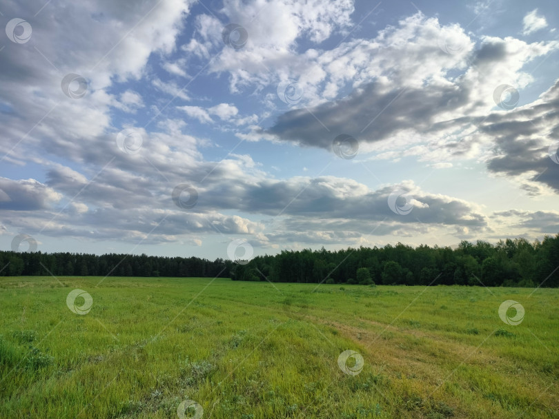 Скачать рядом с лесом в тихом месте Беларуси фотосток Ozero