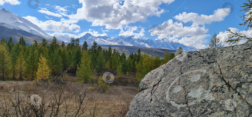 Скачать Камень со знаком мира в лесу. фотосток Ozero