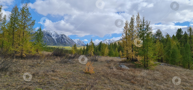 Скачать Осень в горах фотосток Ozero