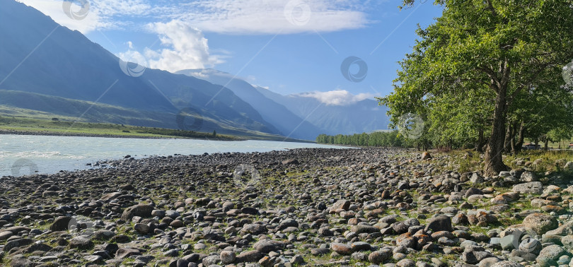 Скачать Каменистый берег реки Катунь фотосток Ozero