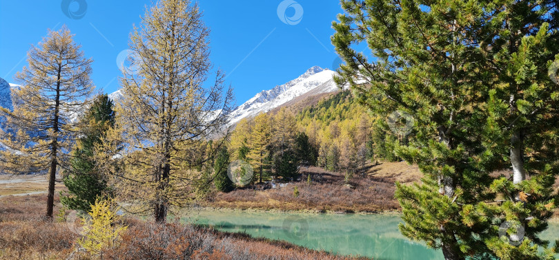 Скачать Горное озеро осенью фотосток Ozero