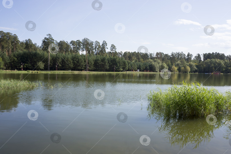 Скачать Озеро в лесопарковой зоне Казани фотосток Ozero