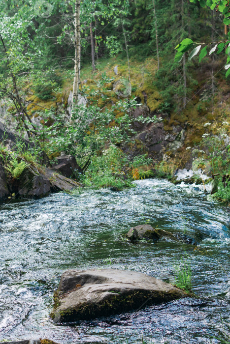 Скачать лесной горный ручей с прозрачной холодной водой фотосток Ozero