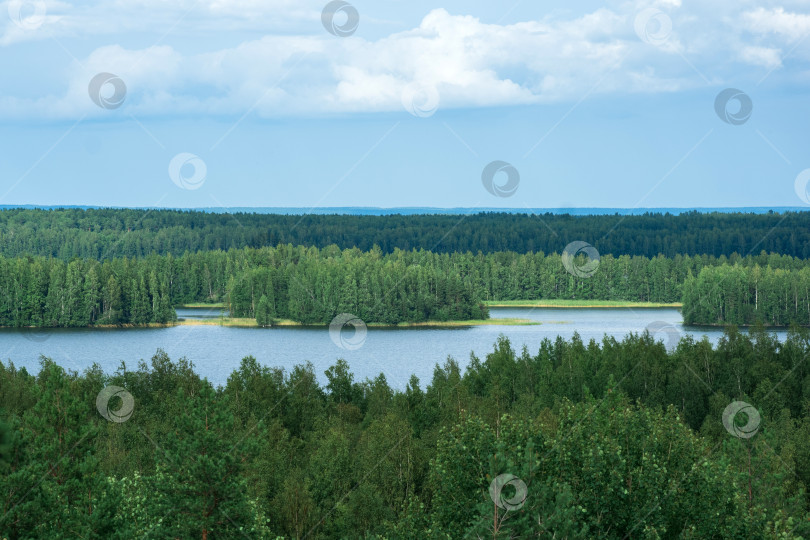 Скачать природный ландшафт с лесом и озерами, вид с высоты птичьего полета фотосток Ozero