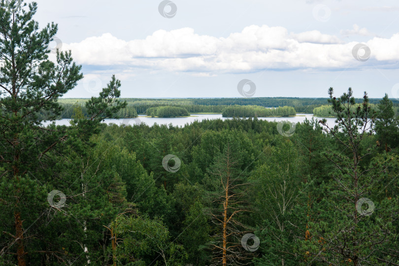 Скачать природный ландшафт с лесом и озерами, вид с высоты птичьего полета фотосток Ozero