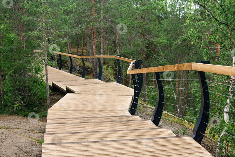 Скачать деревянные мосты на туристическом маршруте в заповеднике, охрана окружающей среды фотосток Ozero