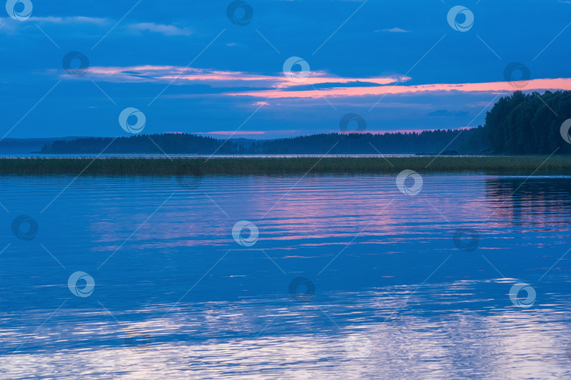 Скачать природный ландшафт, белая ночь над широким северным озером фотосток Ozero