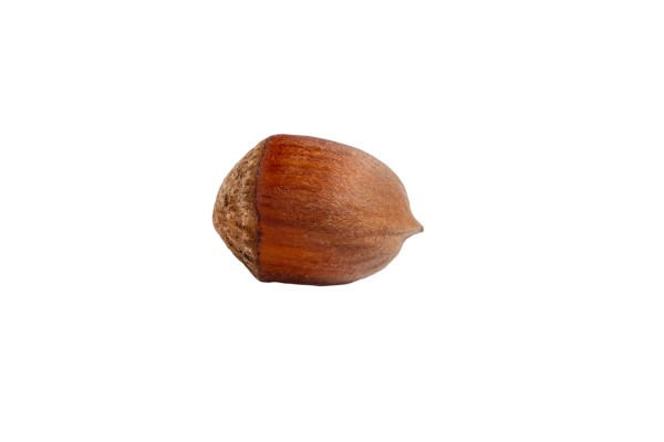 [object Object] undefined