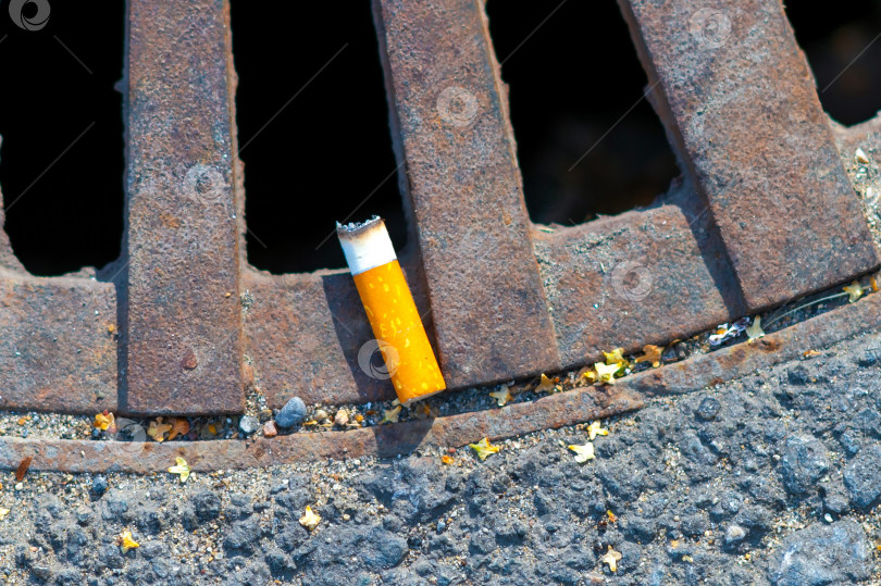 Скачать Окурок сигареты в крышке ливневой канализации. Концепция загрязнения города и вред курения сигарет. фотосток Ozero