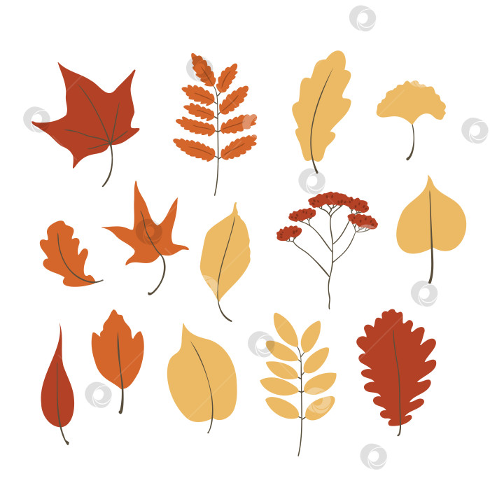 Скачать векторные иллюстрации осенних листьев в плоском стиле, клипарт осенних флюидов фотосток Ozero