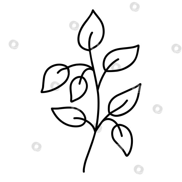 Скачать Симпатичная ветка с листьями, выделенными на белом фоне фотосток Ozero